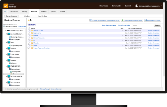 Screenshot der Barracuda Backup Restore-Funktion